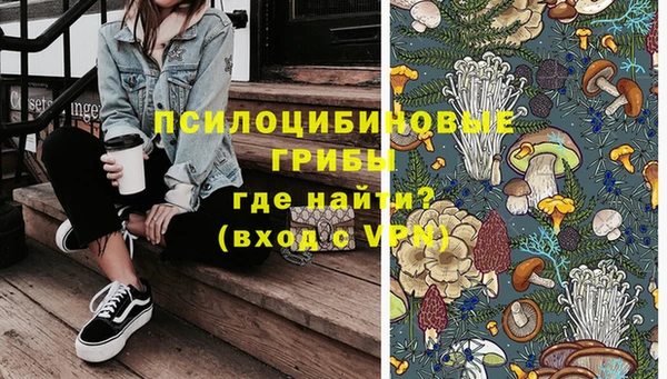 мескалин Заводоуковск