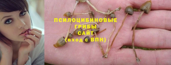 мескалин Заводоуковск